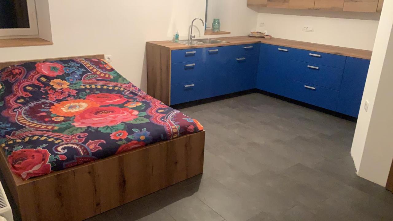 Amazing Apartment Stari Trg pri Lozu Eksteriør billede